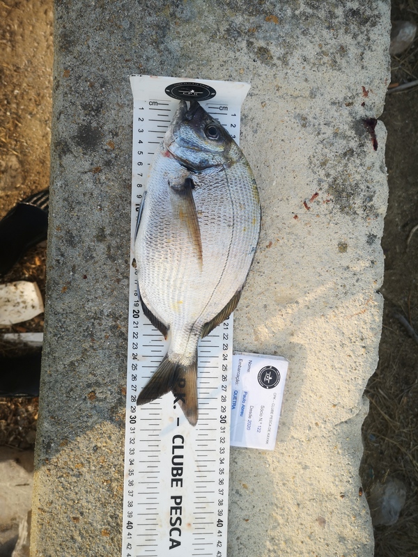 Fish Measure Picture