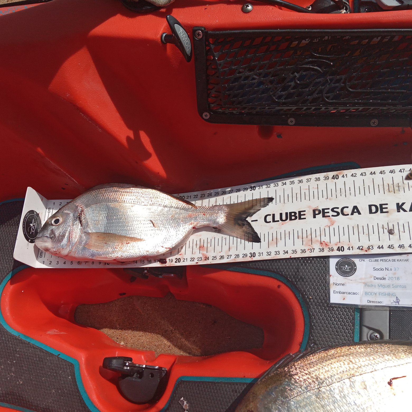 Fish Measure Picture