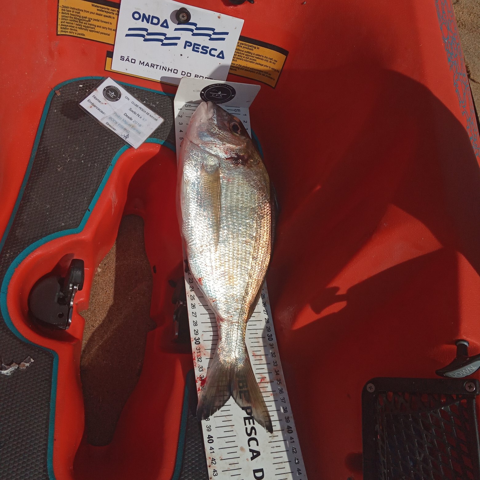 Fish Measure Picture