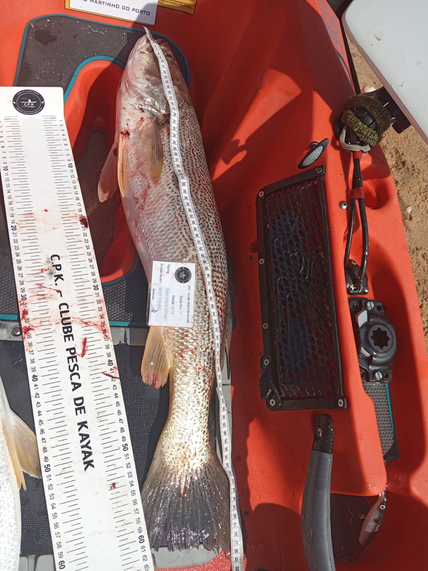 Fish Measure Picture
