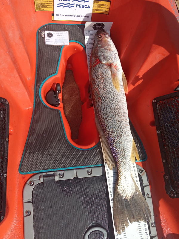 Fish Measure Picture