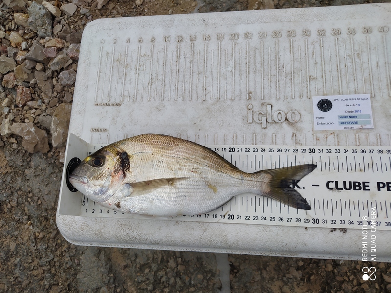 Fish Measure Picture