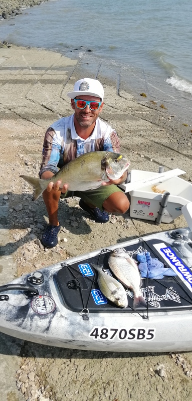 Fish Profile Picture
