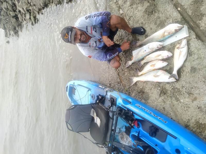 Fish Profile Picture