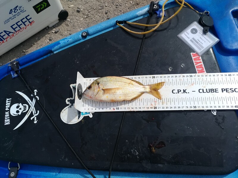 Fish Measure Picture