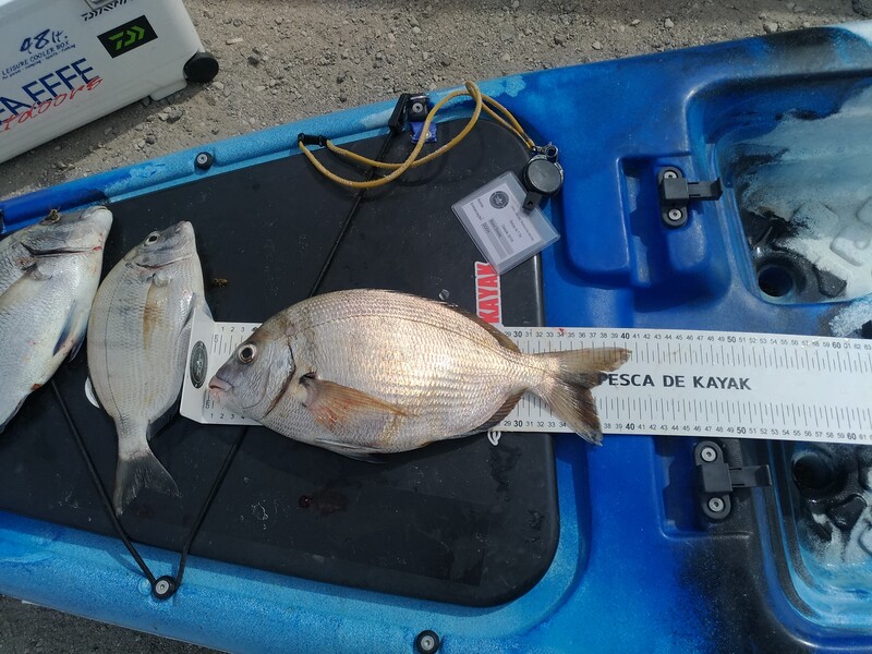 Fish Measure Picture