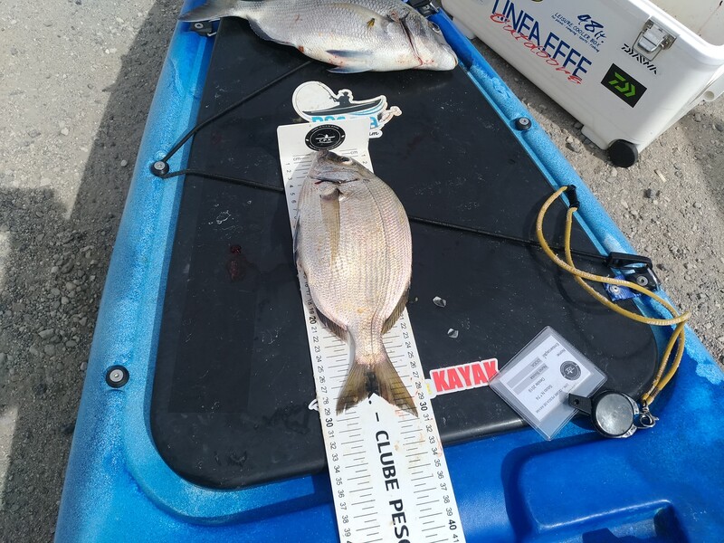 Fish Measure Picture