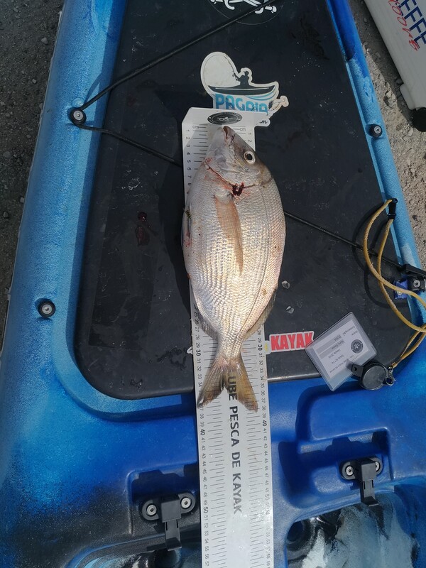 Fish Measure Picture
