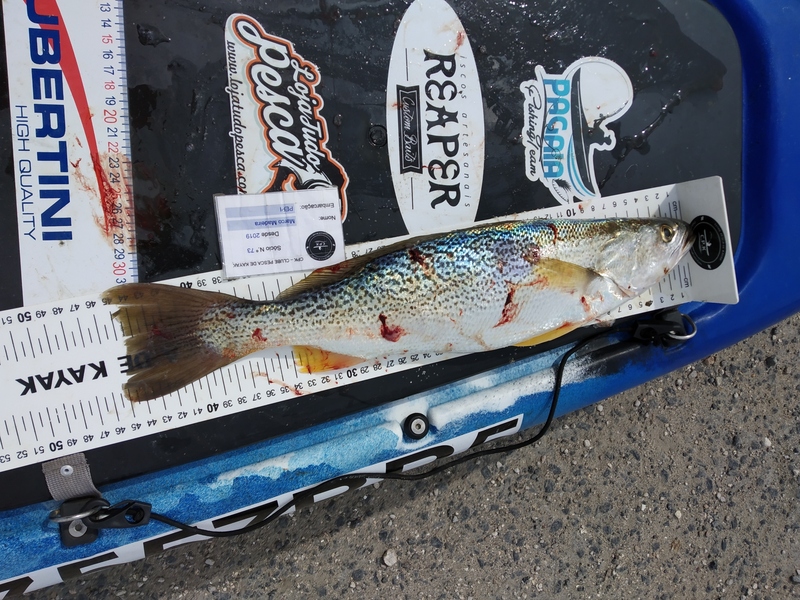 Fish Measure Picture