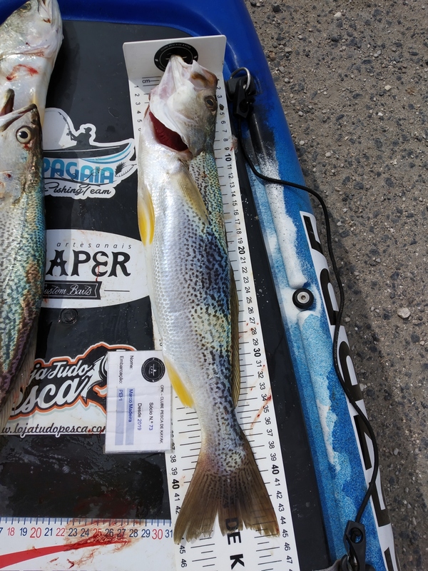 Fish Measure Picture