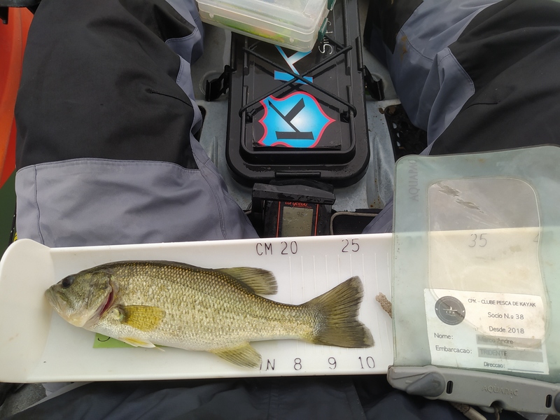 Fish Measure Picture