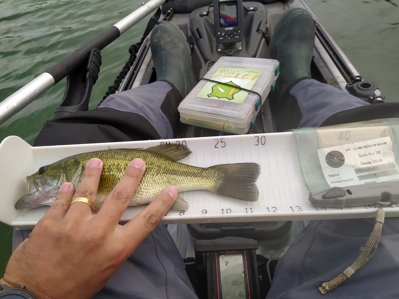 Fish Measure Picture