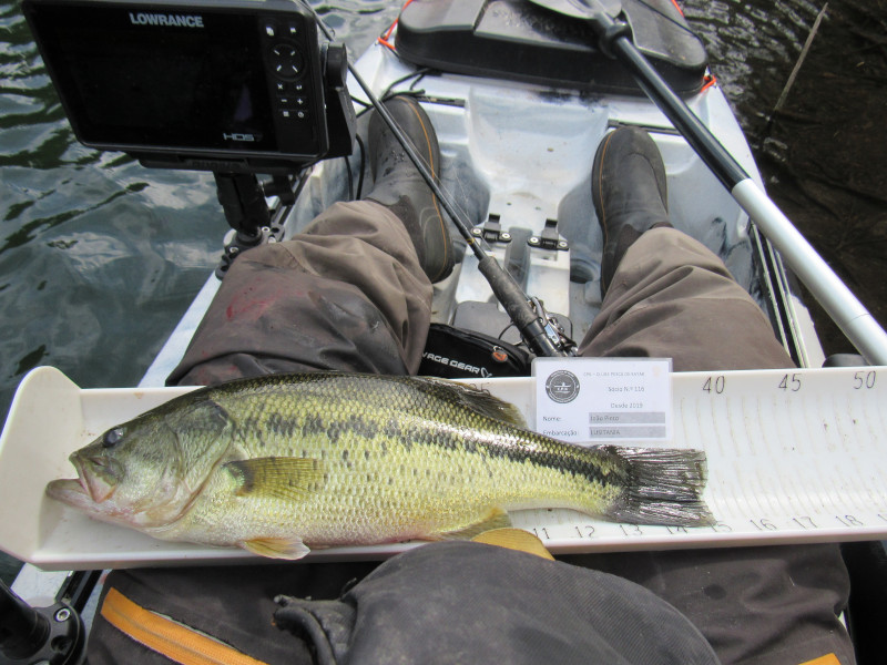 Fish Measure Picture