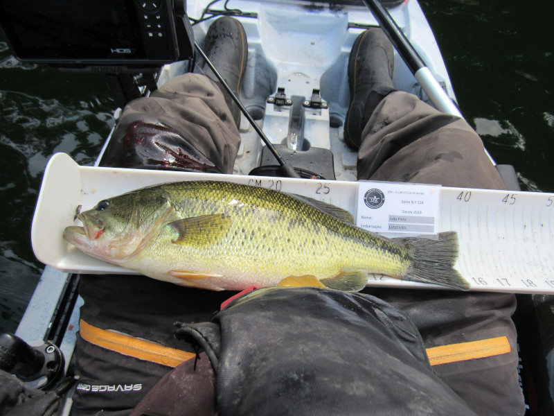 Fish Measure Picture