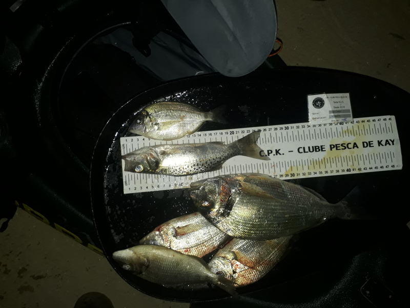 Fish Measure Picture