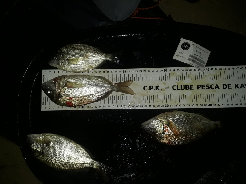 Fish Measure Picture