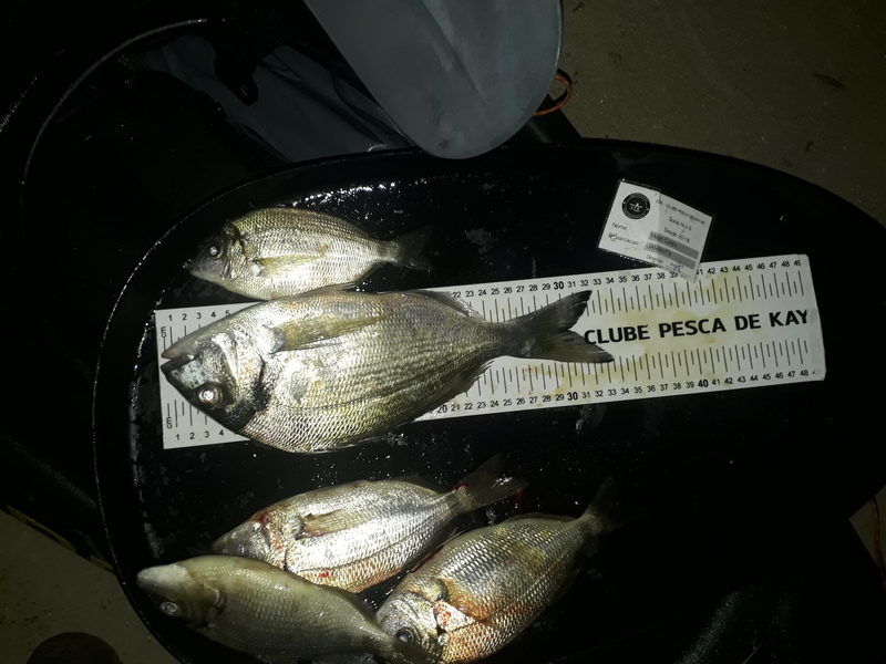 Fish Measure Picture