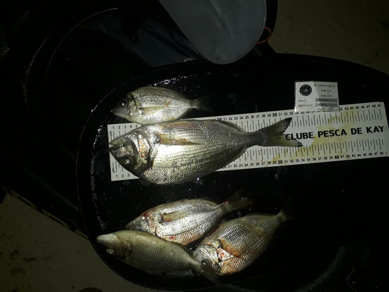 Fish Measure Picture