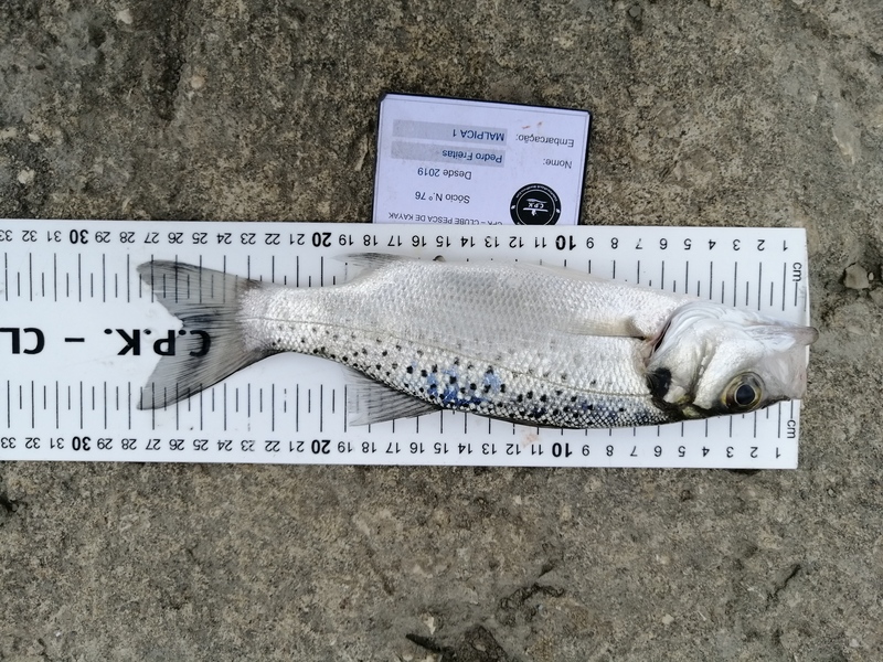 Fish Measure Picture