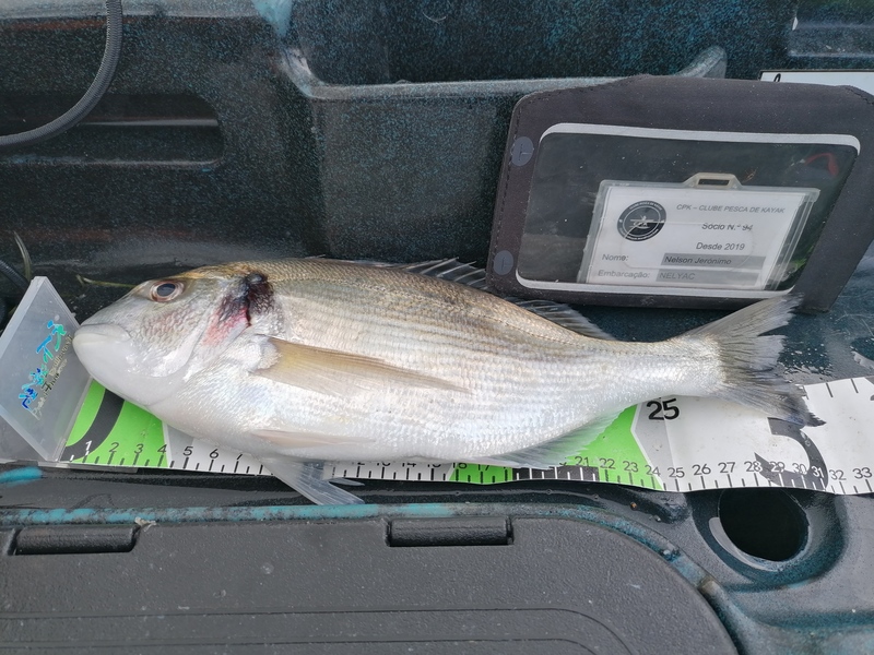 Fish Measure Picture