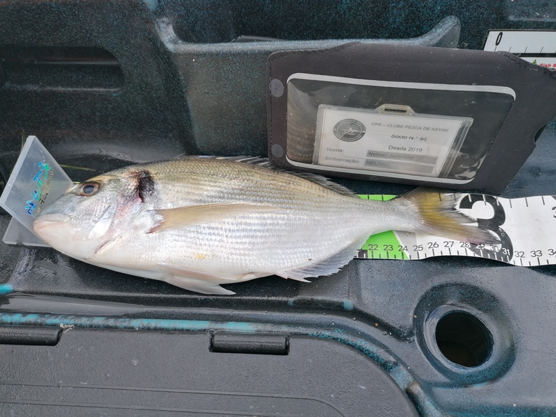 Fish Measure Picture