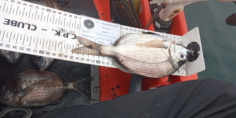 Fish Measure Picture