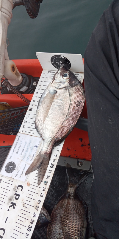 Fish Measure Picture