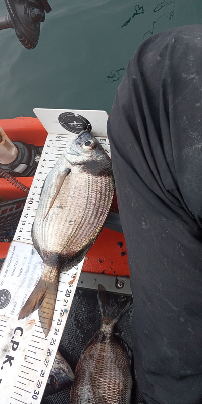 Fish Measure Picture