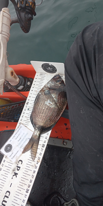 Fish Measure Picture