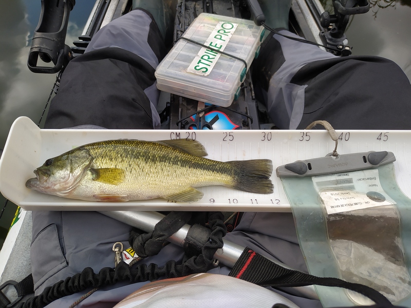 Fish Measure Picture