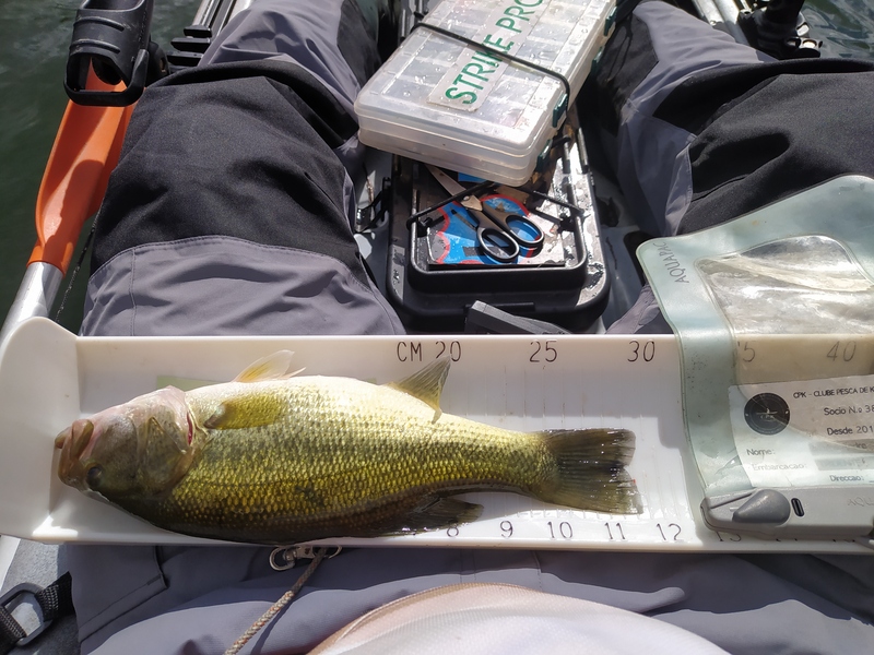 Fish Measure Picture