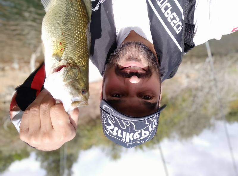 Fish Profile Picture