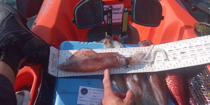Fish Measure Picture