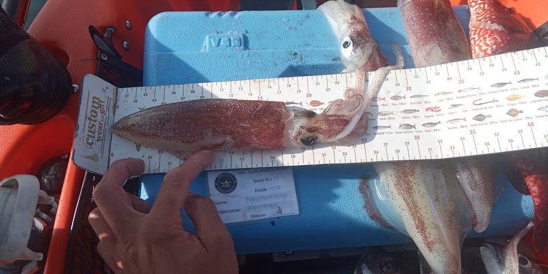 Fish Measure Picture