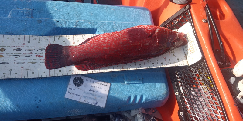 Fish Measure Picture