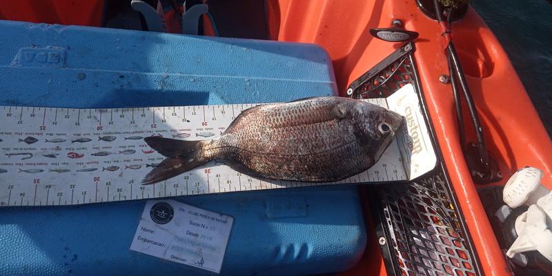 Fish Measure Picture