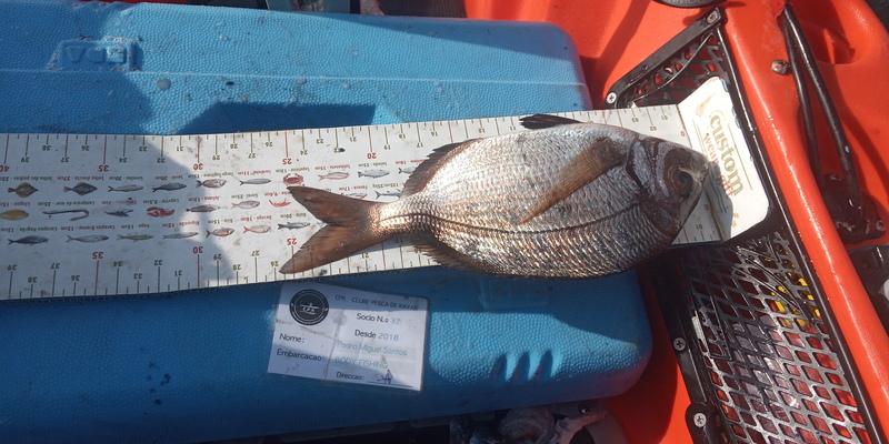 Fish Measure Picture