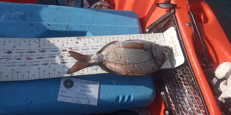 Fish Measure Picture