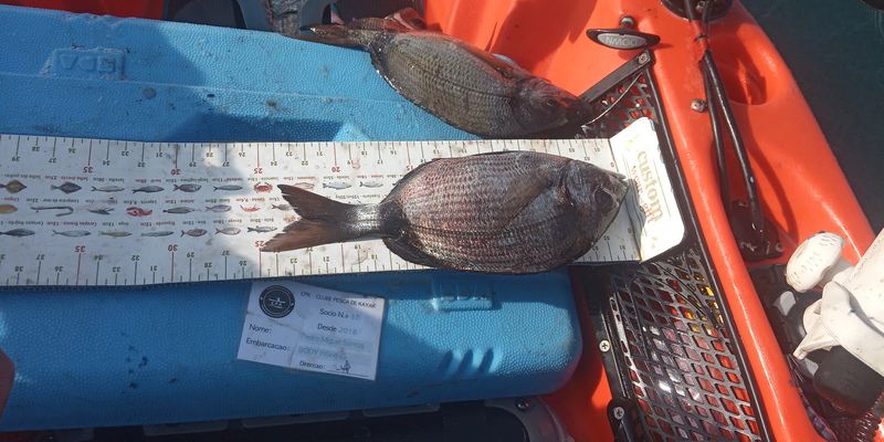 Fish Measure Picture