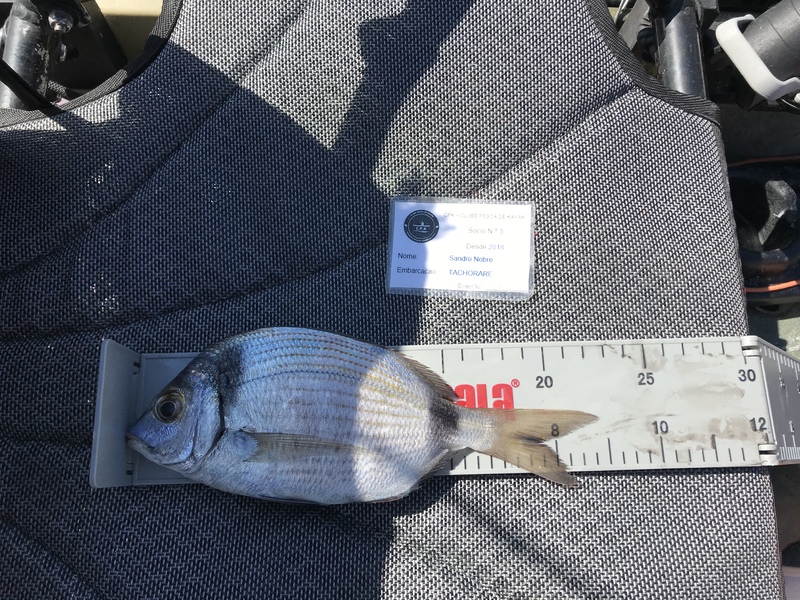 Fish Measure Picture