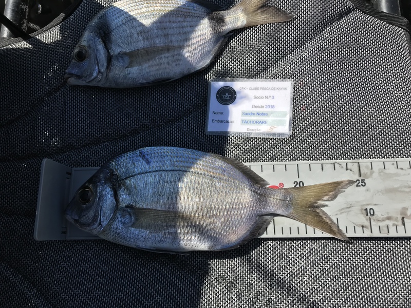 Fish Measure Picture