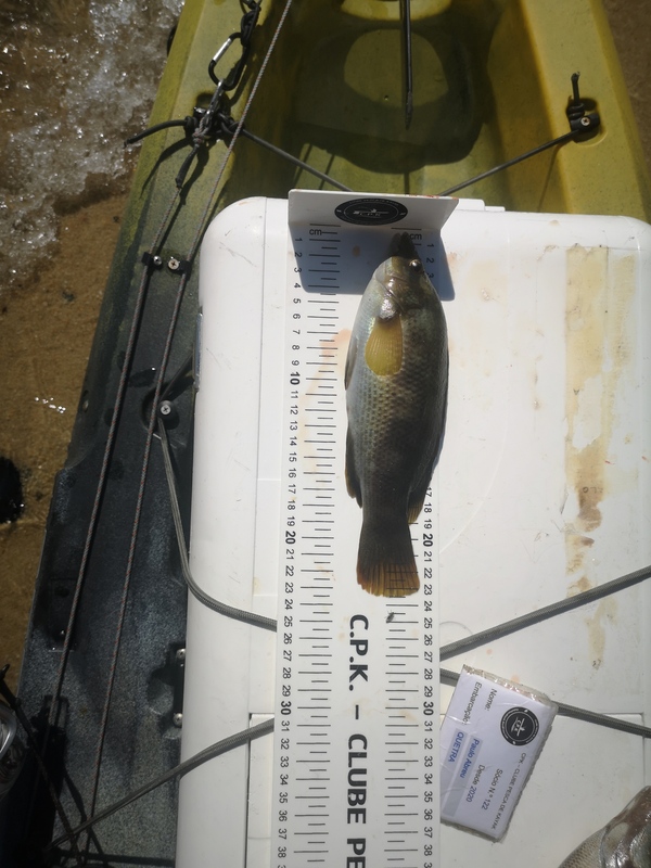 Fish Measure Picture