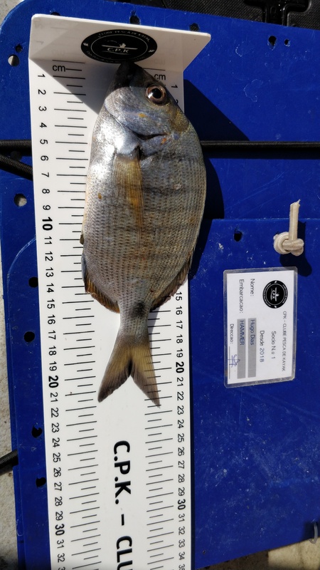 Fish Measure Picture