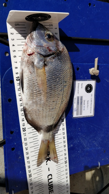 Fish Measure Picture