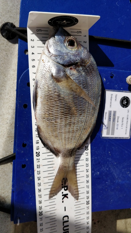 Fish Measure Picture
