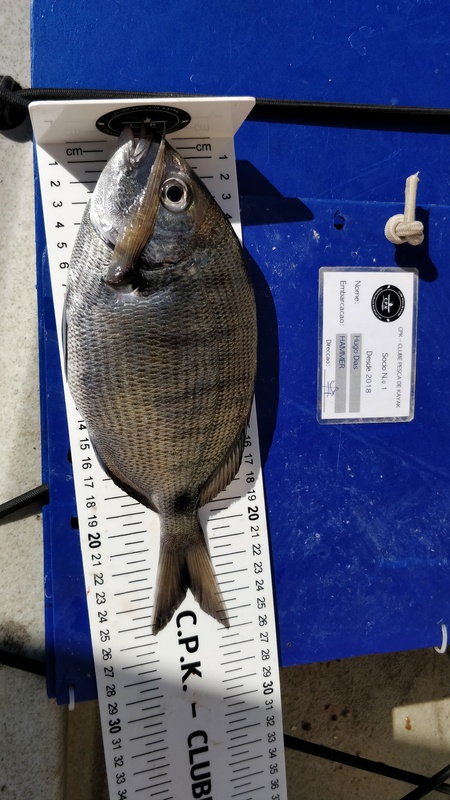 Fish Measure Picture