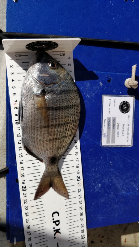 Fish Measure Picture