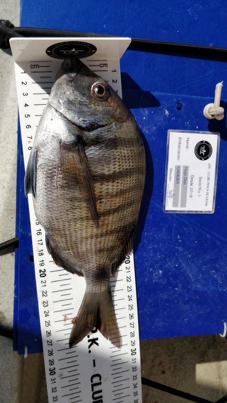 Fish Measure Picture