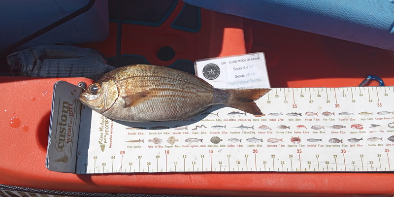 Fish Measure Picture