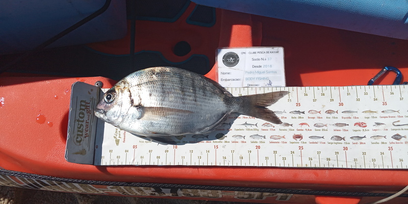 Fish Measure Picture